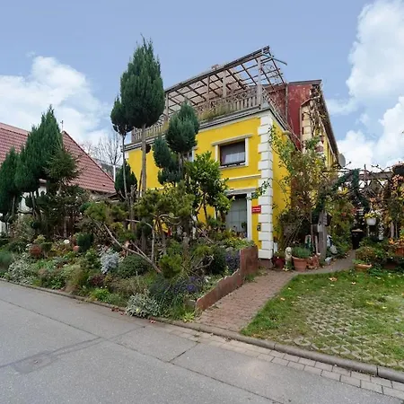 Flat With Garden In