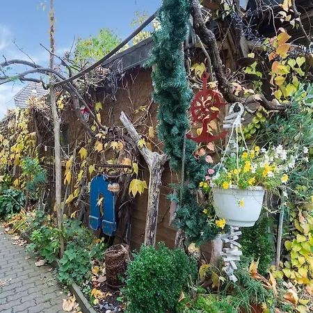 Apartment Mit Wintergarten In Wißmar