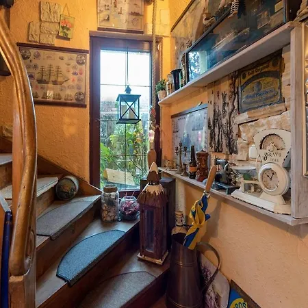 Mit Wintergarten In Διαμέρισμα Wißmar